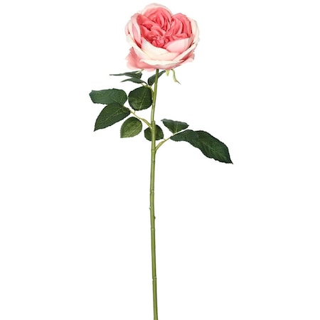 Vickerman 25 in. Open Rose Stem Dark Pink FH170502